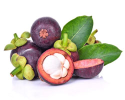 Mangosteen