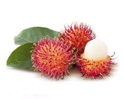 Rambutan Red