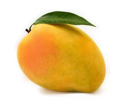 Alphonso Mango