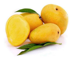 Banganapalli Mango