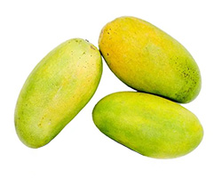 Dasheri Mango