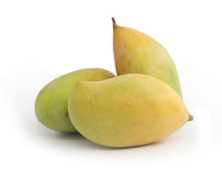 Totapuri Mango